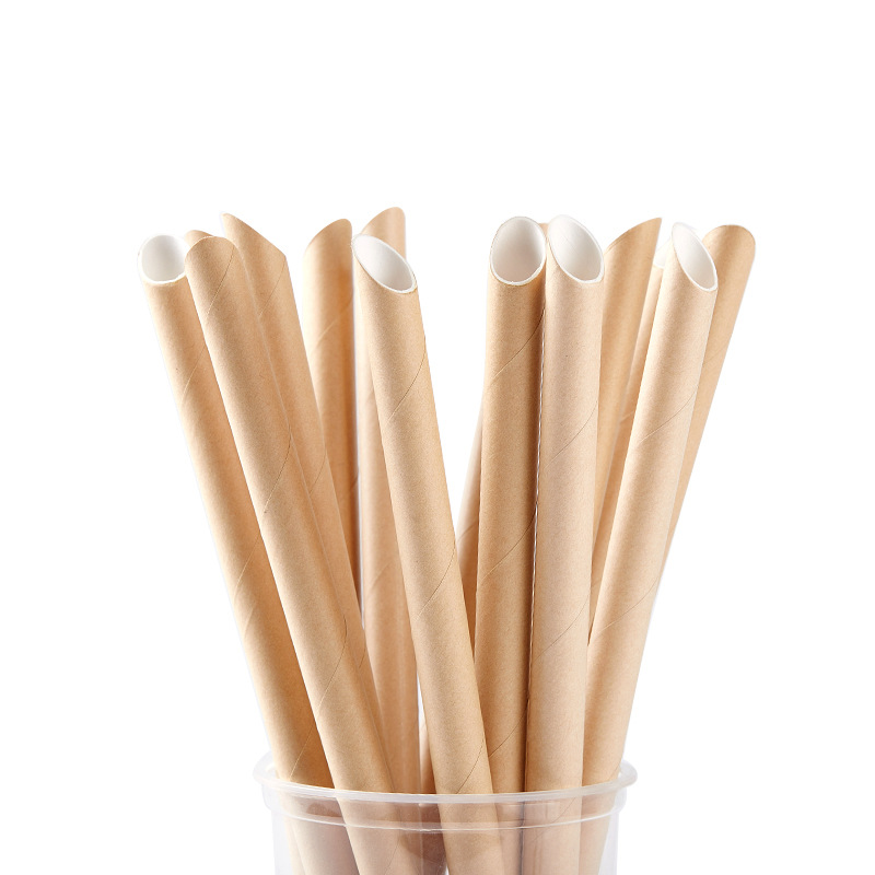 Paper Straws - biodegradable drinking straws